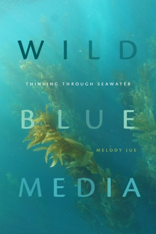 Imagen de portada: Wild Blue Media 9781478006121