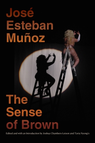 Cover image: The Sense of Brown 9781478011033