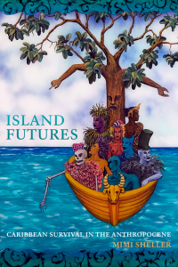 Cover image: Island Futures 9781478010128