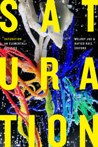 Imagen de portada: Saturation 9781478009740