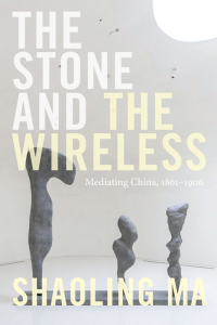 Cover image: The Stone and the Wireless 9781478010463