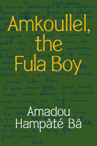 Imagen de portada: Amkoullel, the Fula Boy 9781478014188