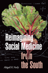 Omslagafbeelding: Reimagining Social Medicine from the South 9781478014270