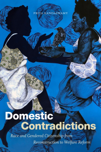 Cover image: Domestic Contradictions 9781478013402