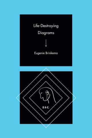 Cover image: Life-Destroying Diagrams 9781478013433