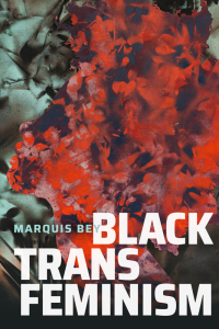 Cover image: Black Trans Feminism 9781478015178