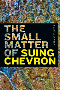 Cover image: The Small Matter of Suing Chevron 9781478017950