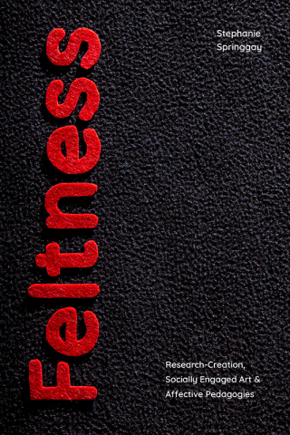 Imagen de portada: Feltness 9781478016267