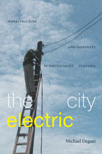 Cover image: The City Electric 9781478019145