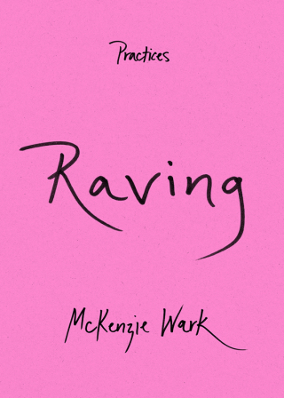 Imagen de portada: Raving 9781478016762