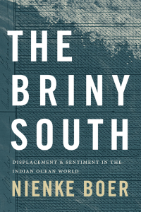 Cover image: The Briny South 9781478016915