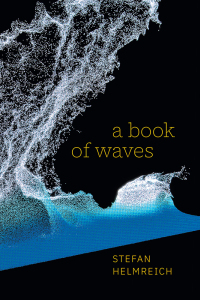 Cover image: A Book of Waves 9781478019947