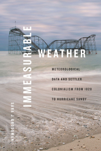 Cover image: Immeasurable Weather 9781478020059