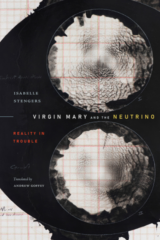 صورة الغلاف: Virgin Mary and the Neutrino 9781478020295