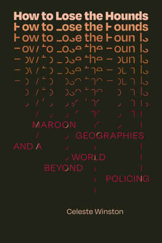表紙画像: How to Lose the Hounds 9781478020509