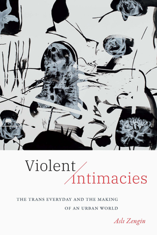 Titelbild: Violent Intimacies 9781478025627
