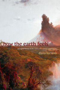 Cover image: How the Earth Feels 9781478020967