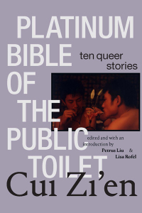 Imagen de portada: Platinum Bible of the Public Toilet 9781478024880