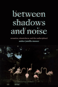 Cover image: Between Shadows and Noise 9781478030096