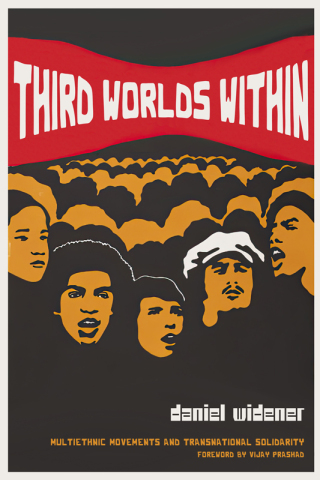Omslagafbeelding: Third Worlds Within 9781478025917