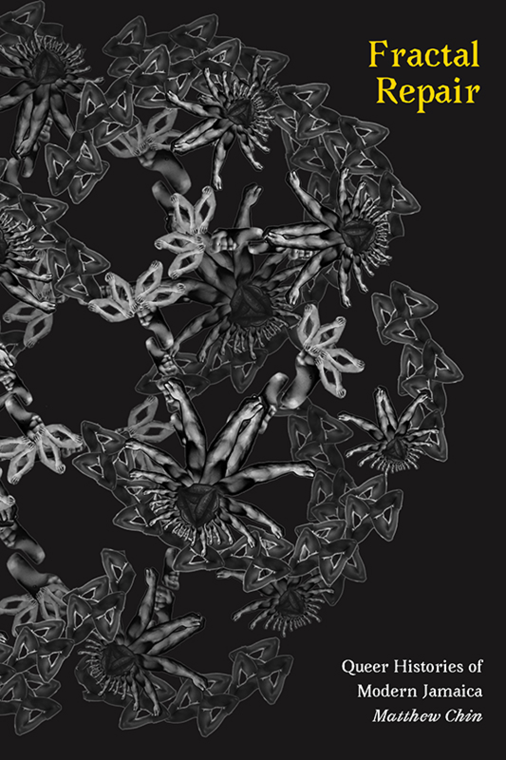 Fractal Repair Queer Histories of Modern Jamaica