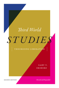 Omslagafbeelding: Third World Studies 9781478026440