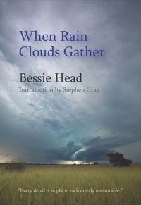 Cover image: When Rain Clouds Gather 1st edition 9781478607595