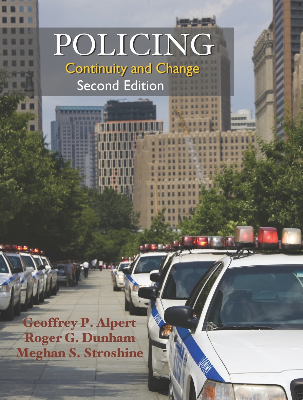 Policing: Continuity and Change 2nd Edition