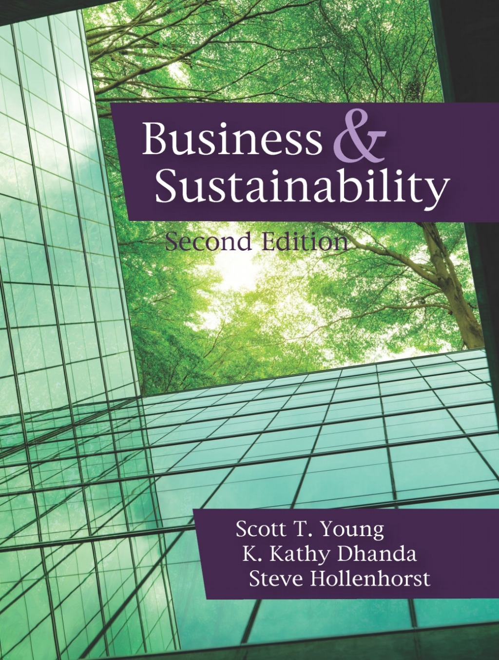 Business and Sustainability 2nd Edition