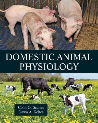 Imagen de portada: Domestic Animal Physiology 1st edition 9781478651161