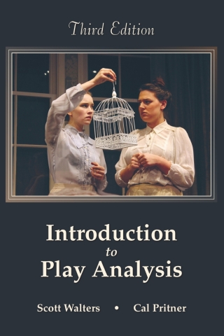 Cover image: Introduction to Play Analysis 3rd edition 9781478652939