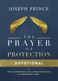 Cover image: The Prayer of Protection Devotional 9781478944669