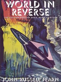 Cover image: World in Reverse 9781479401178
