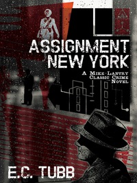 Cover image: Assignment New York 9781479400577