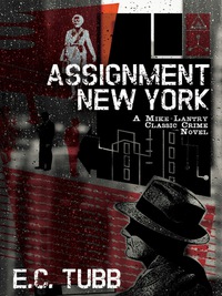 Imagen de portada: Assignment New York 9781479400577