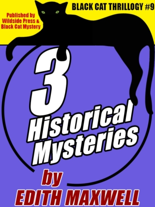 Titelbild: Black Cat Thrillogy #9: 3 Historical Mysteries by Edith Maxwell