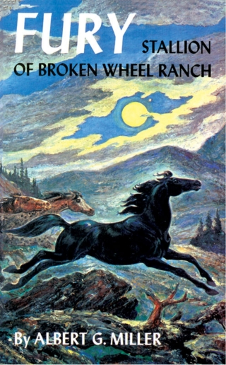 Immagine di copertina: Fury: Stallion of Broken Wheel Ranch