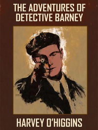 صورة الغلاف: The Adventures of Detective Barney