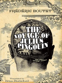 Omslagafbeelding: The Voyage of Julius Pingouin and Other Strange Stories