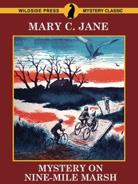 Cover image: Mystery on Nine-Mile Marsh