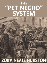 Cover image: The "Pet Negro" system