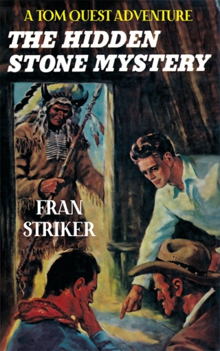 Cover image: The Hidden Stone Mystery