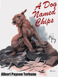表紙画像: A Dog Named Chips 9781479450350