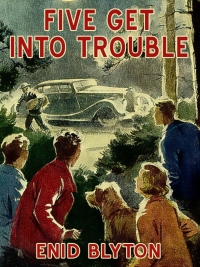 Cover image: Five Get Into Trouble 9781479450534