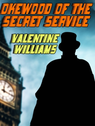 Cover image: Okewood of the Secret Service 9781479450633