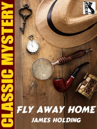 صورة الغلاف: Fly Away Home 9781479451678