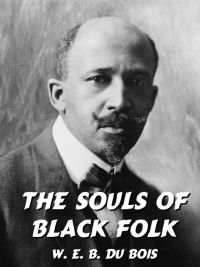Titelbild: The Souls of Black Folk 9781479452286