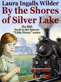 Cover image: By the Shores of Silver Lake 9781479452422