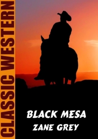 Cover image: Black Mesa 9781479453856