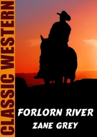 Cover image: Forlorn River 9781479453894